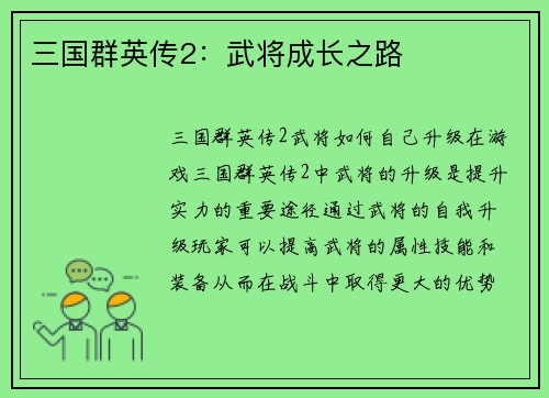 三国群英传2：武将成长之路